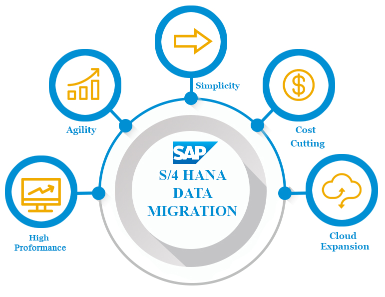 SAP Data Migration
